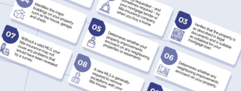 The Purpose of an MLS infographic thumbnail.